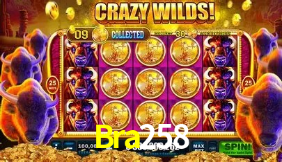 A Emoção da Loteria na Bra258: Uma Chance de Mudança de Vida